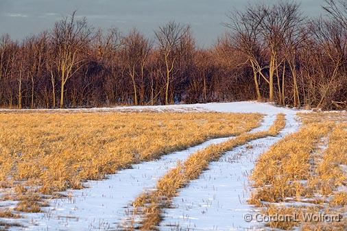 Snowy Field Lane_20742.jpg - Photographed near Smiths Falls, Ontario, Canada.